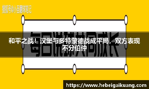 星空综合体育平台
