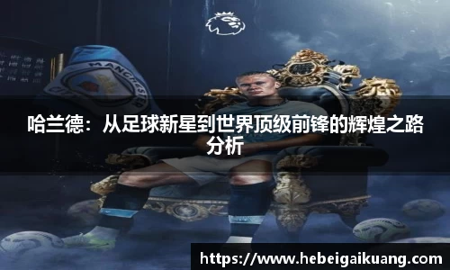 星空综合体育平台