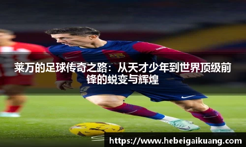星空综合体育官网