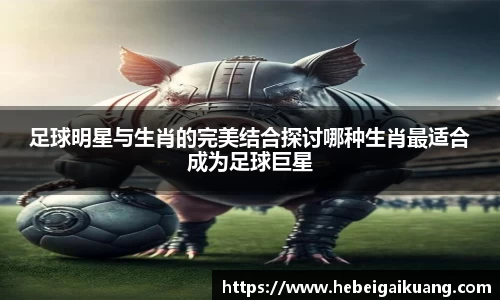 星空综合体育平台