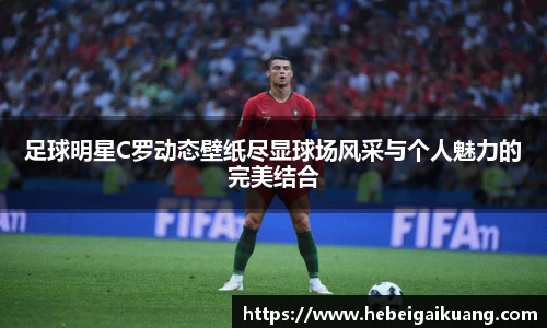 星空综合体育平台